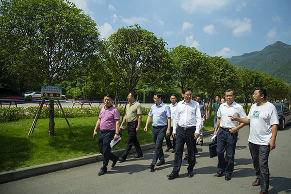 关于调整机关第四党总支书记任职的文件,曾宪志同志任第四党总支书记